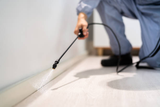 Licensed Cockroach Control service in Bushnell, IL - Nex Pest Control