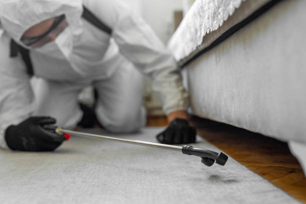 Professional Cockroach Control technician working in Bushnell, IL