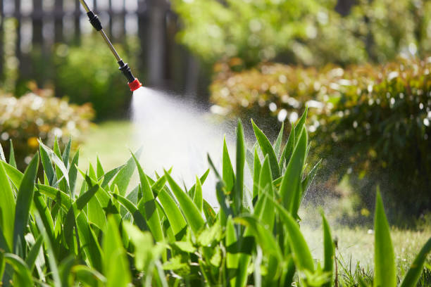 24/7 Emergency Cockroach Control experts in Bushnell, IL