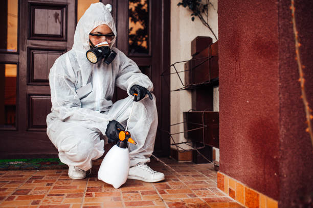 Reliable Cockroach Control contractor in Bushnell, IL by Nex Pest Control