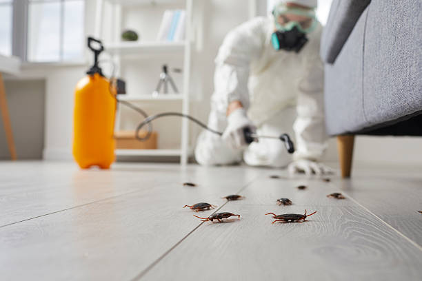 Affordable Cockroach Control solutions in Bushnell, IL
