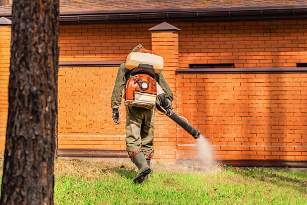 Top rated local Cockroach Control specialists in Bushnell, IL